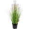 Northlight 27" Artificial Onion and Pampas Grass in Black Pot